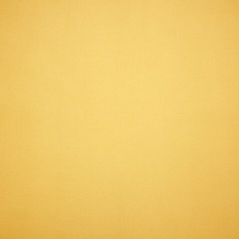 106260-2-auto_width_1200