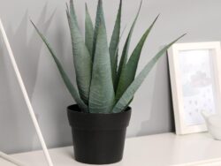 ФЕЙКА, искусственное растение в горшке, алоэ вера, 10х25 см