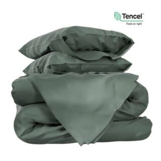 Tencel, 1,5 спальный комплект постельного белья из 100% тенселя, оливковый