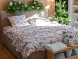 ЭТЕЛЬ, комплект постельного белья, 1,5сп, красный/белый