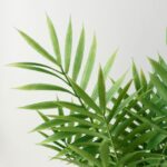 Искусственное растение в горшке "Хамедорея" 9х30см