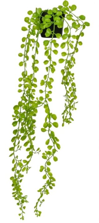 ФЕЙКА, искусственное растение в горшке, 80 см, зеленый