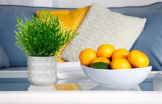 ФЕЙКА, искусственное растение в белом кашпо, 24 см, зеленый