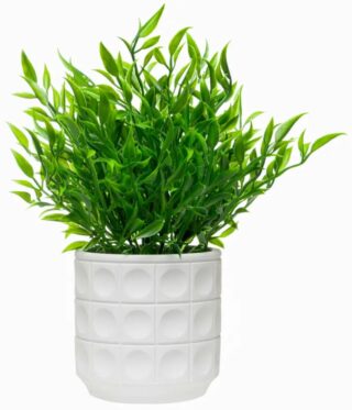 ФЕЙКА, искусственное растение в белом кашпо, 24 см, зеленый