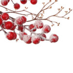 ВИНТЕР, декоративная ветка, 52 см, заснеженные ягоды, красный