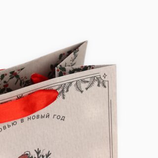 ВИНТЕР, пакет подарочный, крафтовый, 18х23 см, мальчик с елкой