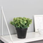 ФЕЙКА, искусственное растение в горшке, цветок монетчатый, 10х16 см