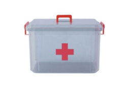 БОКС, контейнер с крышкой, 24х17х13 см, аптечка, прозрачный