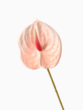 СМИККА, цветок искусственный, антуриум, 60 см, светло-розовый
