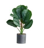 ФЕЙКА, искусственное растение в горшке, калатея, 9х30 см